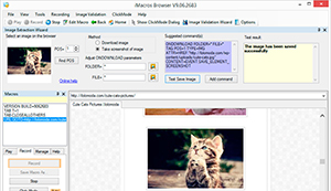 Using the image extraction wizard